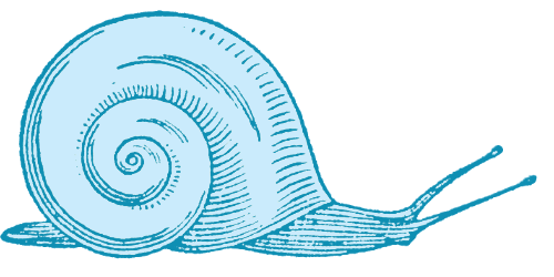 An engraving of a snail.